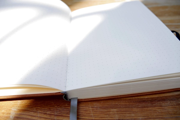 Lemome Notizbuch dotted kaufen
